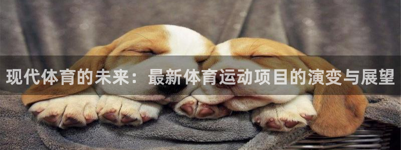 JJB竞技宝官网下载开户：现代体育的未来：最新体育运