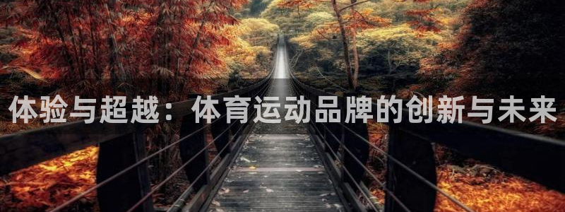JJB竞技宝官方正版app代理：体验与超越：体育运动品牌的创
