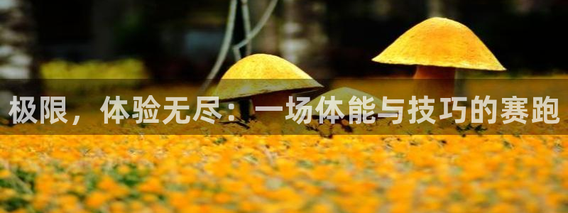 JJB竞技宝官网下载平台注册流程图：极限，体验无尽：