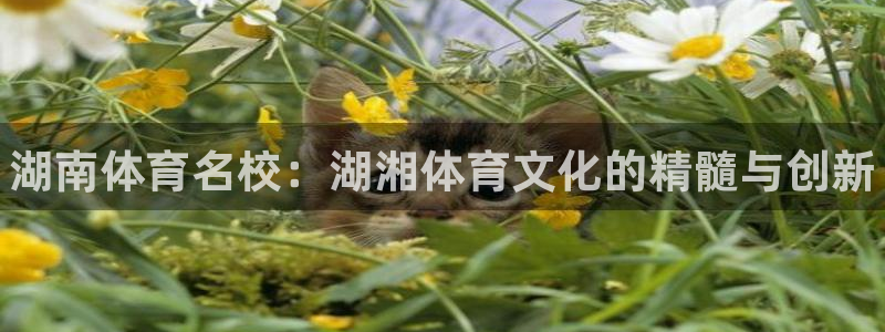 JJB竞技宝官方正版app娱乐下载：湖南体育名校：湖