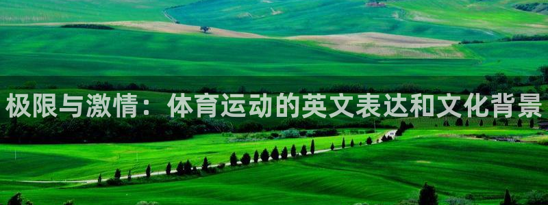 JJB竞技宝官网下载招商电话号码查询：极限与激情：体育运动的