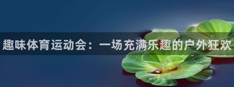 JJB竞技宝官网下载开户：趣味体育运动会：一场充满乐趣的户外
