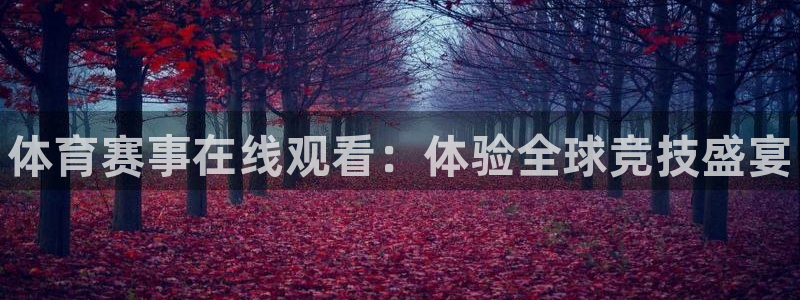 JJB竞技宝官方正版app娱乐下载：体育赛事在线观看：体验全