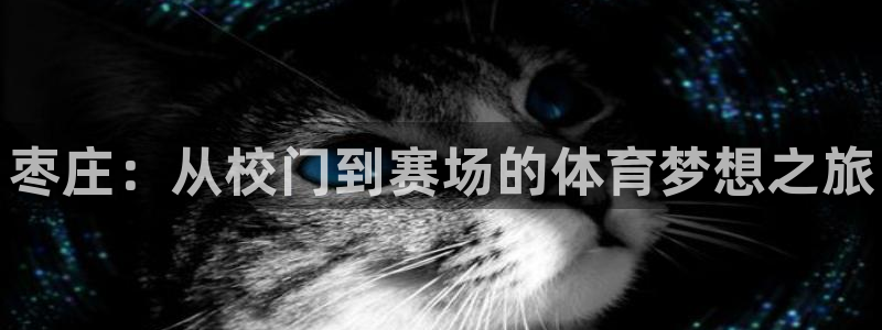 JJB竞技宝官网下载联系电话：枣庄：从校门到赛场的体