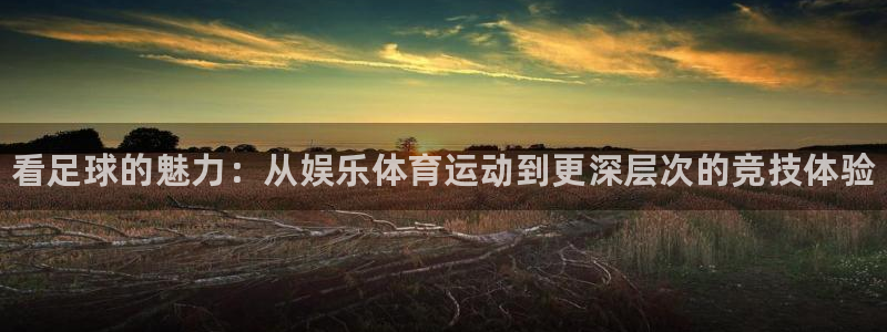 JJB竞技宝官网下载联系电话：看足球的魅力：从娱乐体