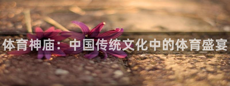JJB竞技宝官方正版app科技