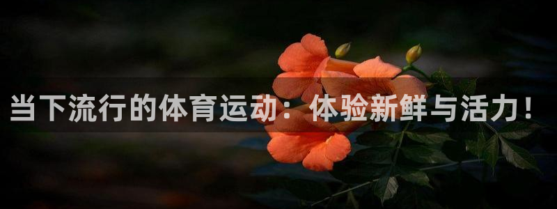 JJB竞技宝官网下载招商电话地址是多少