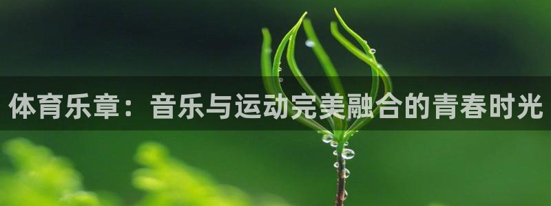 JJB竞技宝官网下载招商电话号码是多少号