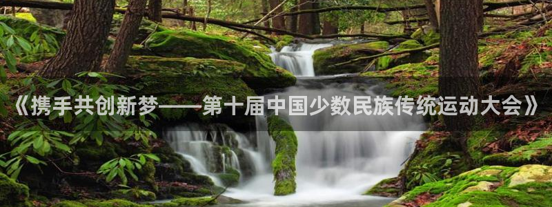 注册JJB竞技宝官方正版app：《携手共创新梦——第十届中国