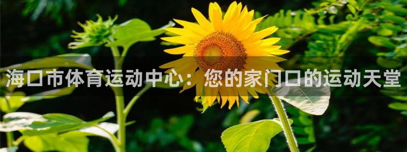 JJB竞技宝官网下载开户：海口市体育运动中心：您的家门口的运