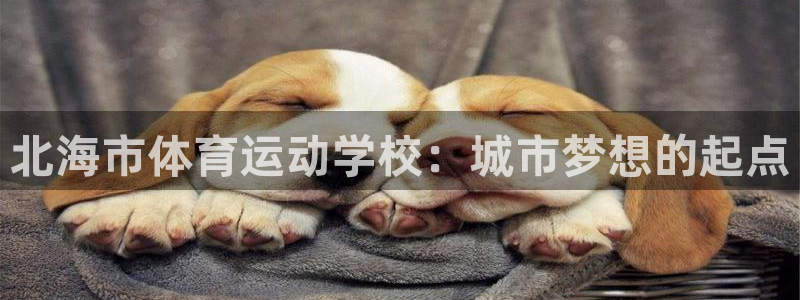 JJB竞技宝官方正版app集团简介