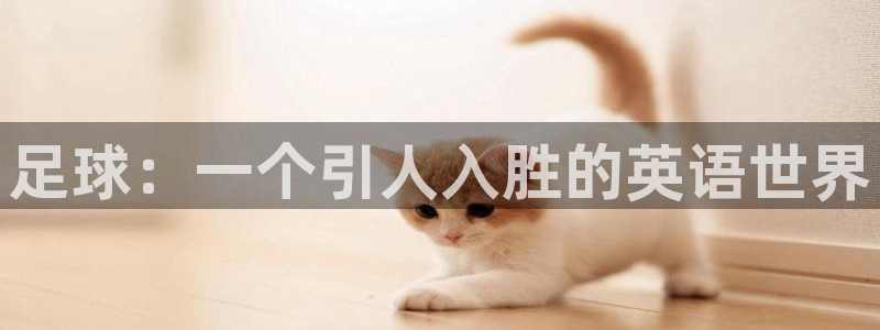 JJB竞技宝官方正版app娱乐网站：足球：一个引人入胜的英语