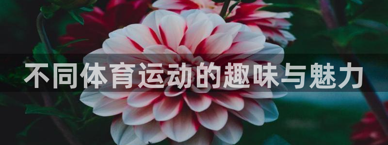 JJB竞技宝官网下载平台是正规平台吗安全吗：不同体育运动的趣