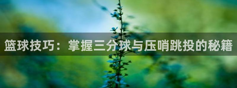 JJB竞技宝官网下载招商电话地址查询：篮球技巧：掌握三分球与