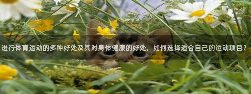 JJB竞技宝官方正版app娱乐平台：进行体育运动的多种好处及