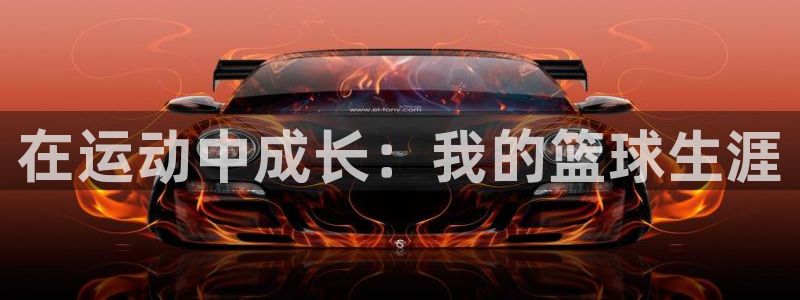 海南JJB竞技宝官网下载：在运动中成长：我的篮球生涯