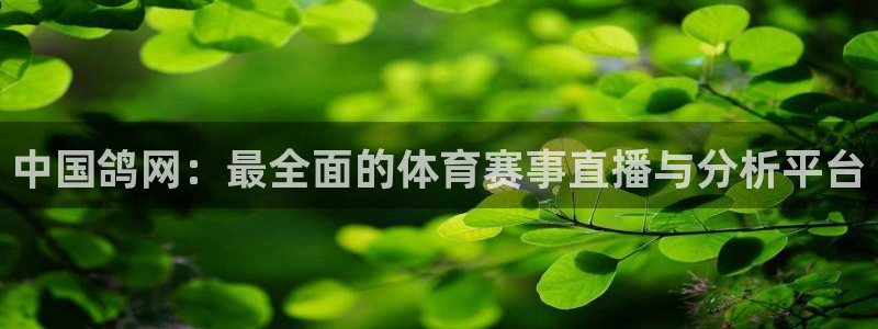 极速体育高清直播nba