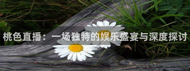 nba直播吧极速雨燕