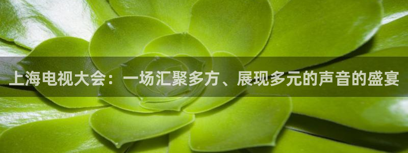 nba直播极速体育直播：上海电视大会：一场汇聚多方、展现多元的声音的盛宴
