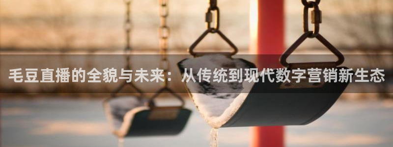 极速体育nba直播平台：毛豆直播的全貌与未来：从传统到现代数字营销新生态