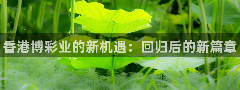 极速nba直播体育直播吧：香港博彩业的新机遇：回归后的新篇章