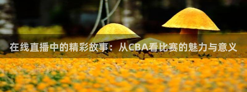 篮球极速体育直播吧：在线直播中的精彩故事：从CBA看比赛的魅力与意义