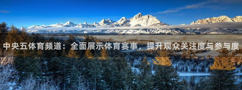 极速体育在线直播足球：中央五体育频道：全面展示体育赛事，提升观众关注度与参与度