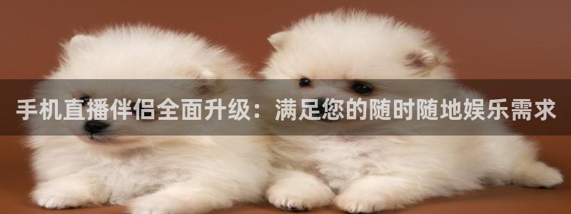极速体育免费直播：手机直播伴侣全面升级：满足您的随时随地娱乐需求